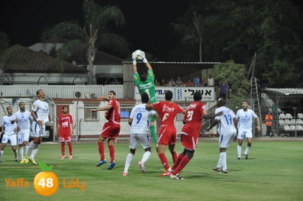 koraludn5478339 (25).JPG